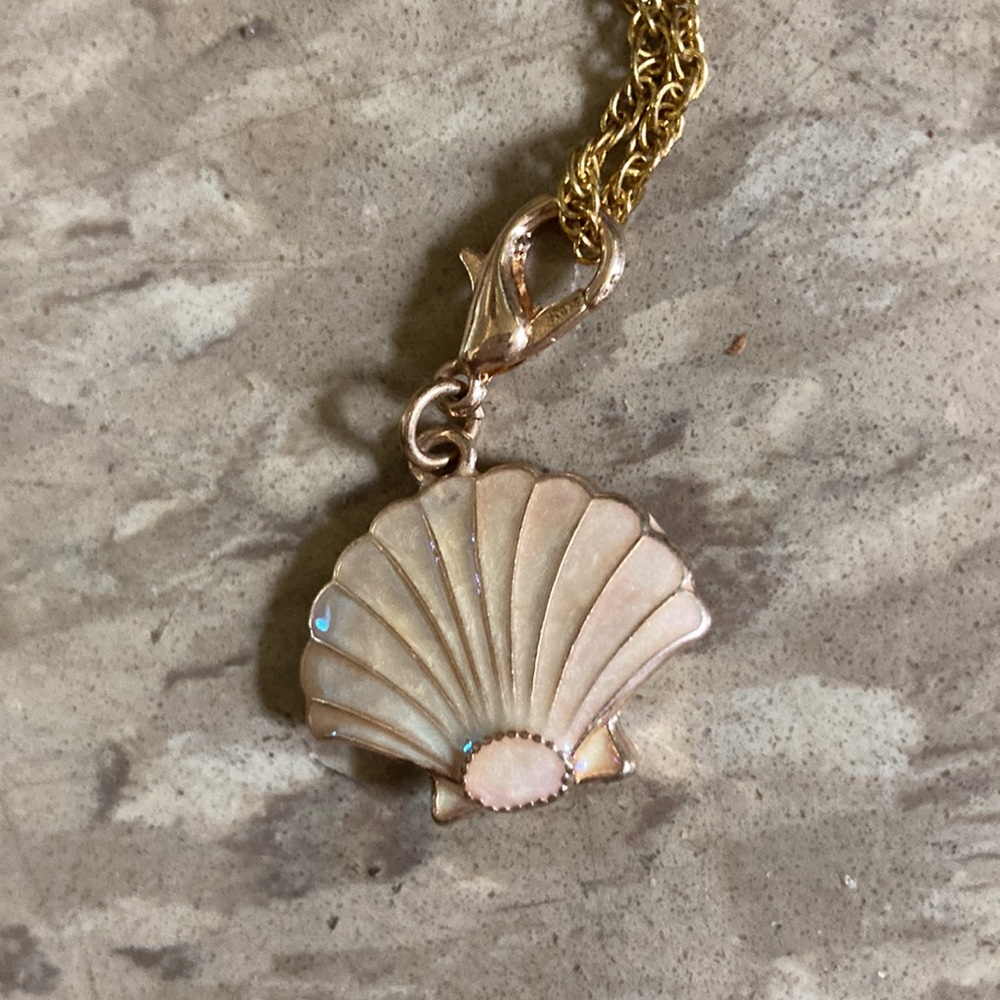 Shell Necklace - Picture 3 of 3